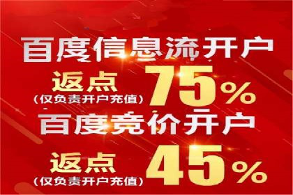百度推广的秘诀：以某电商平台的成功经验为例